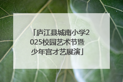 庐江县城南小学2025校园艺术节暨少年宫才艺展演